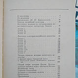 Культура Індії С. Ф. Ольденбург, фото 5