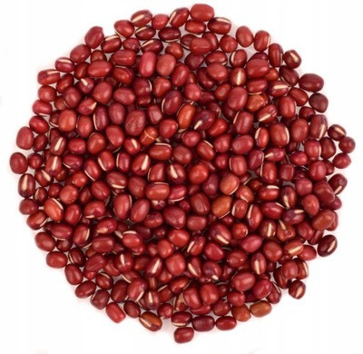 Семена Фасоль (Адзуки) проростки | микрозелень (import) - фото 2 - id-p1237307334