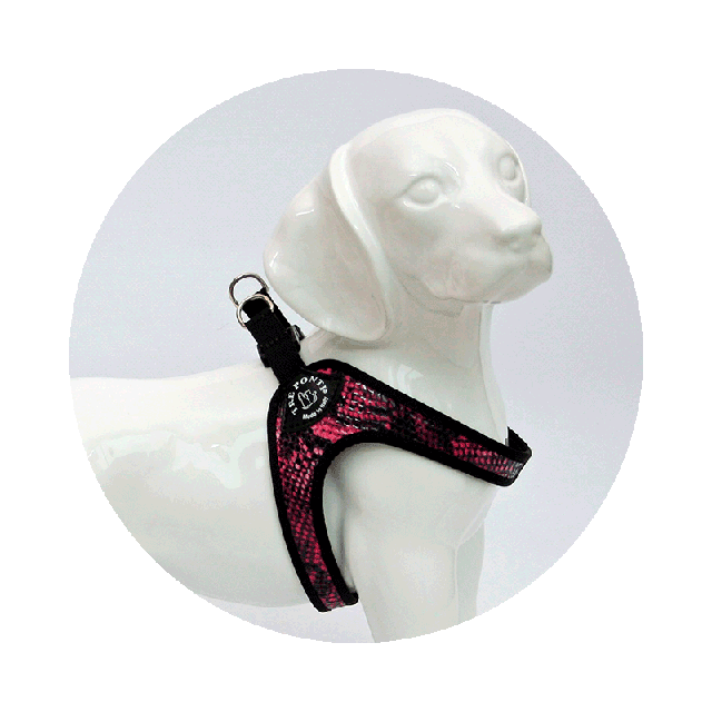 Шлейка Tre Ponti Fashion Python Purple для собак и кошек F095P Шлейка Tre Ponti Fashion Python Purple для собак и кошек F095P