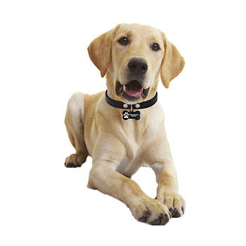 Медальйон-адресник на нашийник для хатніх тварин Manulife Кістка Black 5*2,8*0,2 1 шт.