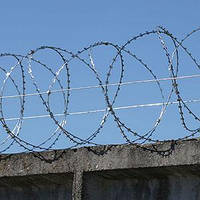 Колючий дріт спіраль Концертину 500/3