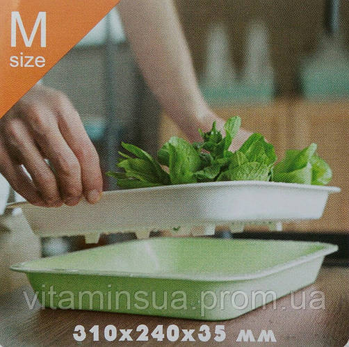 Купить Лоток для гидропонного выращивания рассады и проращивания семен ...