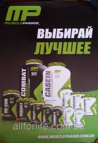 Плакати PowerPro MusclePharm Myprotein Nutrabolics Вибирай кращий, фото 2