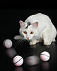 Іграшка для кішки USB smart м'яч-кулька з LED підсвічуванням і таймером, фото 8