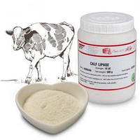 ЛІПАЗА теляча (на 100-200л молока)