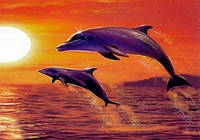 Алмазная вышивка "Дельфины", море, закат, прибой, полная выкладка, ,мозаика 5d, наборы 30х40 см