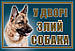 Табличка "Собака" в асортименті (під замовлення можна будь-яку картинку), фото 2