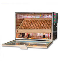 Інкубатор на 100 яєць з автопереворотом