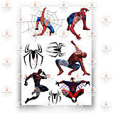 Друк їстівного фото — Вафельний папір — Людина-павук No6, фото 8