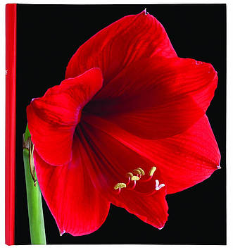 Червоний фотоальбом INNOVA Botanical Red
