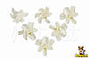 Цветы Жасмин белый с тычинками из фоамирана (латекса) 3 см 10 шт/уп