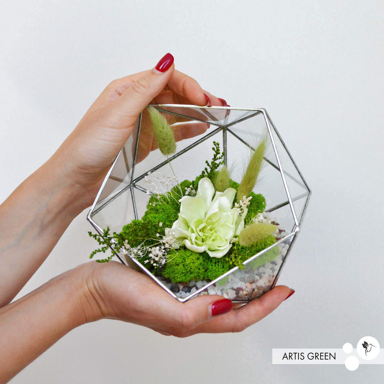 Флораріум з мохом, довговічними рослинами і гарденією, фото 1