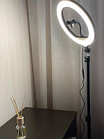 Кольцевая LED лампа со штативом (30см) LED30-10h