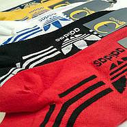 Короткі чоловічі спортивні шкарпетки Adidas, фото 3