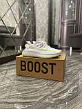 Жіночі кросівки Adidas Yeezy Boost 350 V2, жіночі кросівки адідас ізі буст 350 в2, кросівки Adidas Yeezy, фото 5