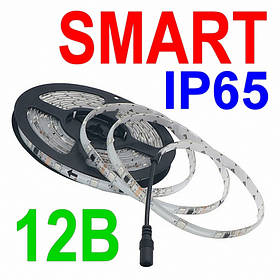 Світлодіодна адресна стрічка WS2811 12V 5050(24) IP65 RGB