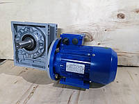 Червячный мотор-редуктор NMRV-40-25 с электродвигателем 0,37 квт 220/380в