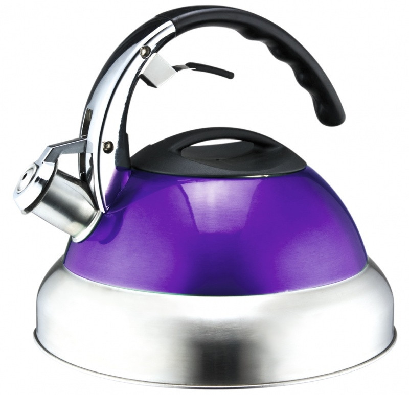 Чайник зі свистком фіолетовий NS10KET, фото 1