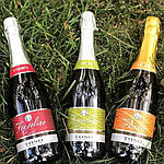 Вино ігристе "Fragolino" Toso - для тих, хто молодий не тільки тілом,але і душею!