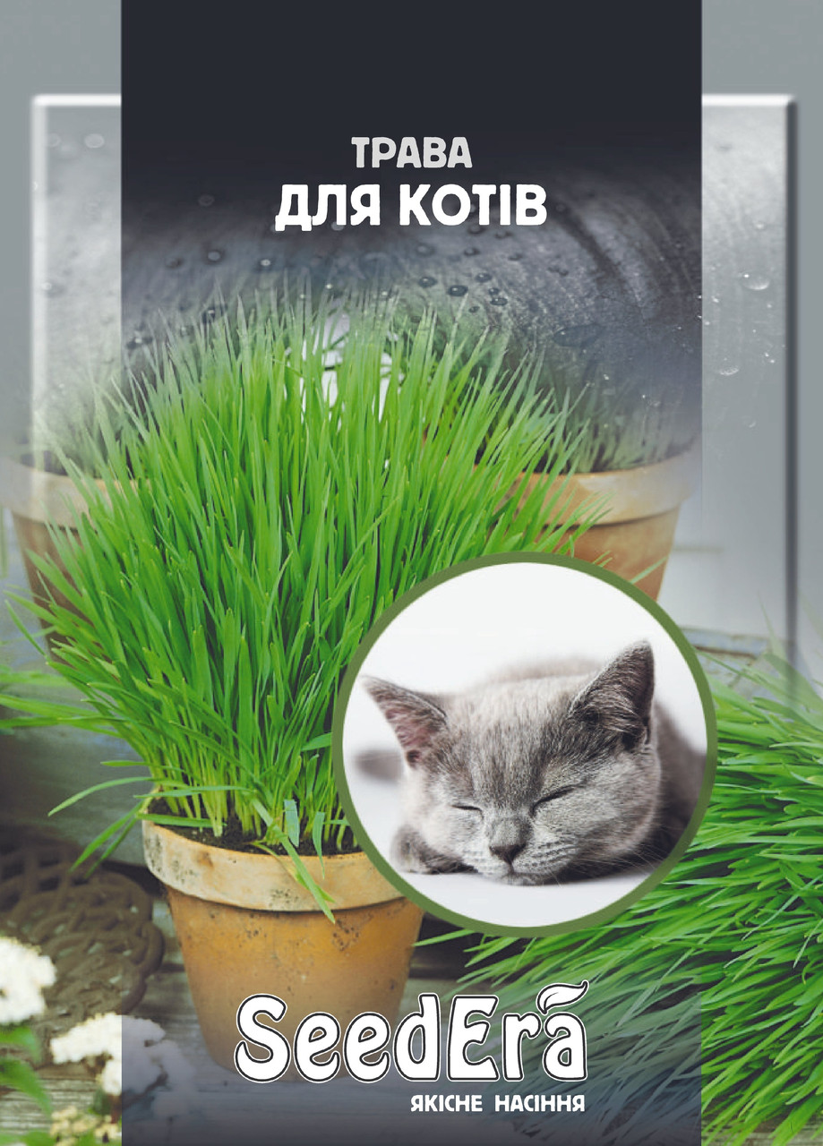 Трава для котів
