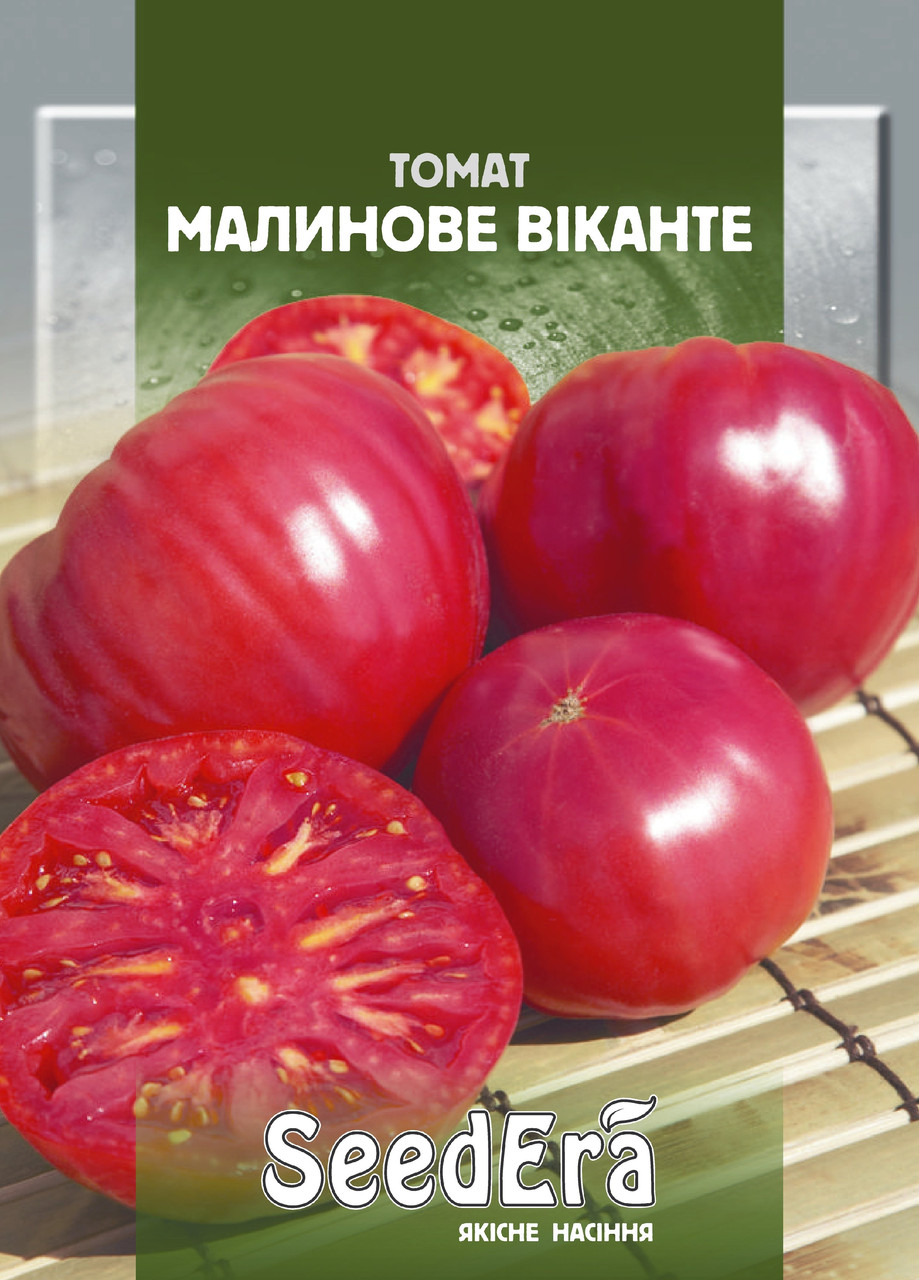 Томат Малиновий Віканте