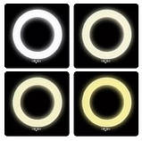 Кільцева LED лампа на штативі А380 (39 см). Кільцевий світло для відео і фото.Світлодіодна лампа для селфи, фото 7