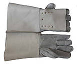Захисні рукавички для грумерів і ветеринарів (для захисту від подряпин і укусів котів і дрібних собак), фото 2