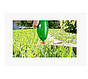Газонокосарки ручні бездротова Zip Trim Тример для трави УЦІНКА, фото 5