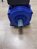 Асинхронний електродвигун EuroCraft S1003 - 3.0 kW/4.0 HP, фото 2