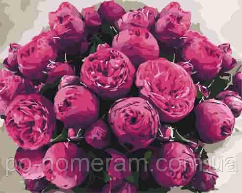 Акційна Картина за номерами ArtCraft Загадкові півонії (ACR-13102-AC) 40 х 50 см, фото 1