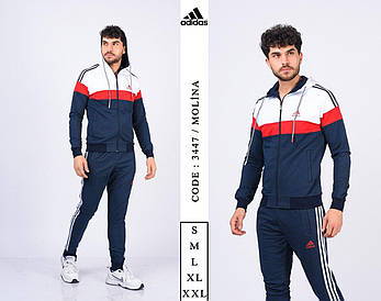 Чоловічий спортивний трикотажний костюм Adidas з капюшоном