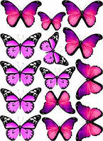Вафельная картинка Бабочки А4 (p0051)