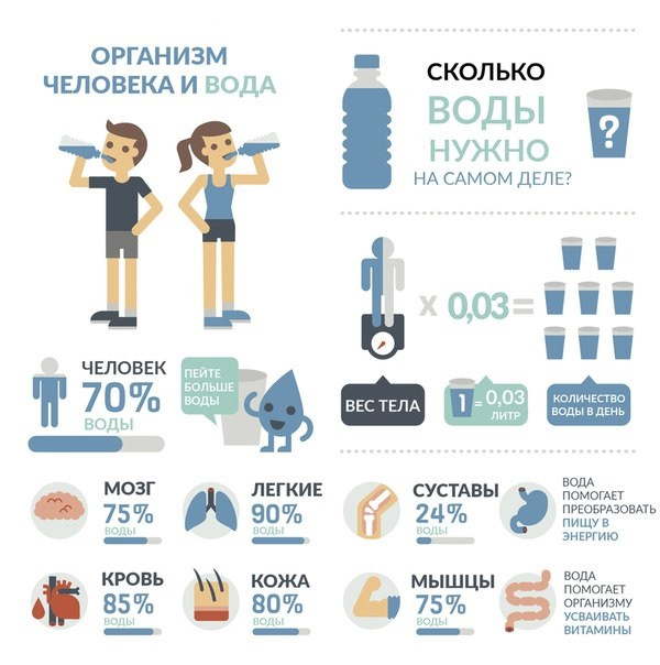 Тайские мишки таблетки для похудения ,бады для похудения для женщин,сбросить вес быстро Pohud - фото 3 - id-p1239614600