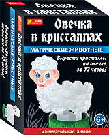 Ранок Кр. 0267 Набір для досл. Вівця у кріст