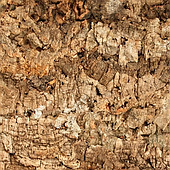 Настінні пробкові панелі Mato 18 мм Wicanders (кора)