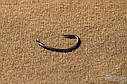 Гачки PB Products Curved KD hook №4, фото 10