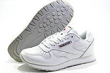 Білі шкіряні кросівки Reebok Classic Leather, White, фото 3