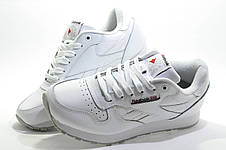 Білі шкіряні кросівки Reebok Classic Leather, White, фото 3