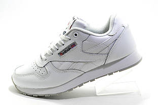 Білі шкіряні кросівки Reebok Classic Leather, White