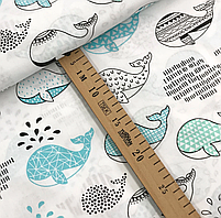 ΠΠΎΠ»ΡΡΡΠΊΠ° Π±ΡΠ·Ρ "ΠΊΠΈΡΠΈ Π±Π»Π°ΠΊΠΈΡΠ½Ρ Ρ ΡΠΎΡΠ½Ρ Π½Π° Π±ΡΠ»ΠΎΠΌΡ", ΡΠΎΡΠΎ 2