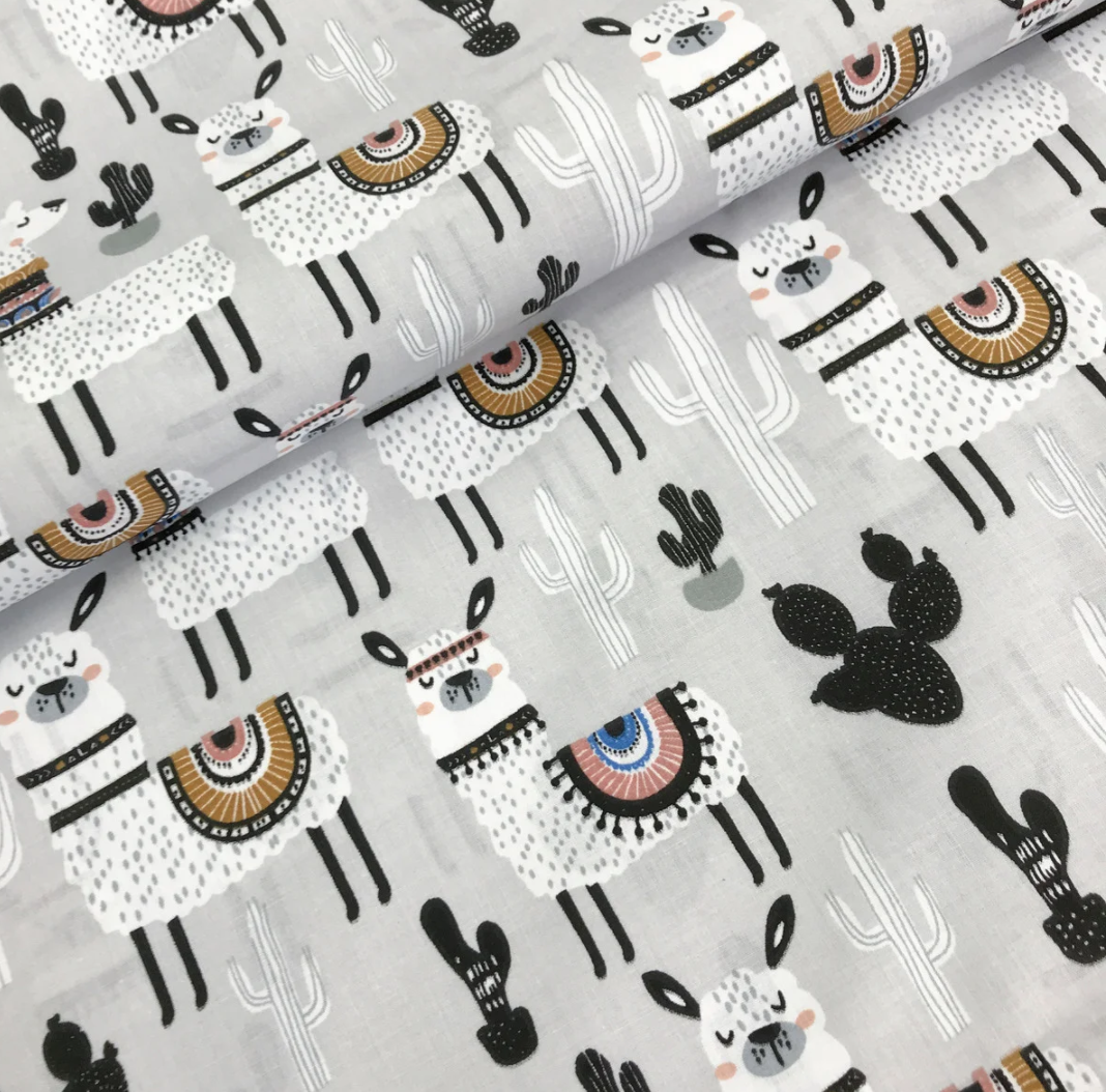 ΠΠΎΠ»ΡΡΡΠΊΠ° Π±ΡΠ·Ρ "ΠΠ°ΠΌΠΈ Π· ΠΊΠ°ΠΊΡΡΡΠ°ΠΌΠΈ Π½Π° ΡΡΡΠΎΠΌΡ", ΡΠΎΡΠΎ 1