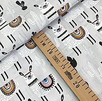 ΠΠΎΠ»ΡΡΡΠΊΠ° Π±ΡΠ·Ρ "ΠΠ°ΠΌΠΈ Π· ΠΊΠ°ΠΊΡΡΡΠ°ΠΌΠΈ Π½Π° ΡΡΡΠΎΠΌΡ", ΡΠΎΡΠΎ 3