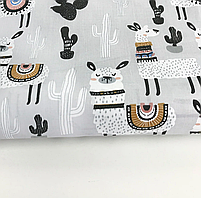 ΠΠΎΠ»ΡΡΡΠΊΠ° Π±ΡΠ·Ρ "ΠΠ°ΠΌΠΈ Π· ΠΊΠ°ΠΊΡΡΡΠ°ΠΌΠΈ Π½Π° ΡΡΡΠΎΠΌΡ", ΡΠΎΡΠΎ 2