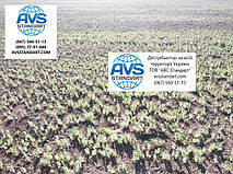 Поле посіву озимого гороху сербської сорт НС МОРОЗ станом на 19 серпня 2020 року в Одеській області.