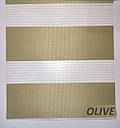 Рулонні штори день-ніч OLIVE, фото 3