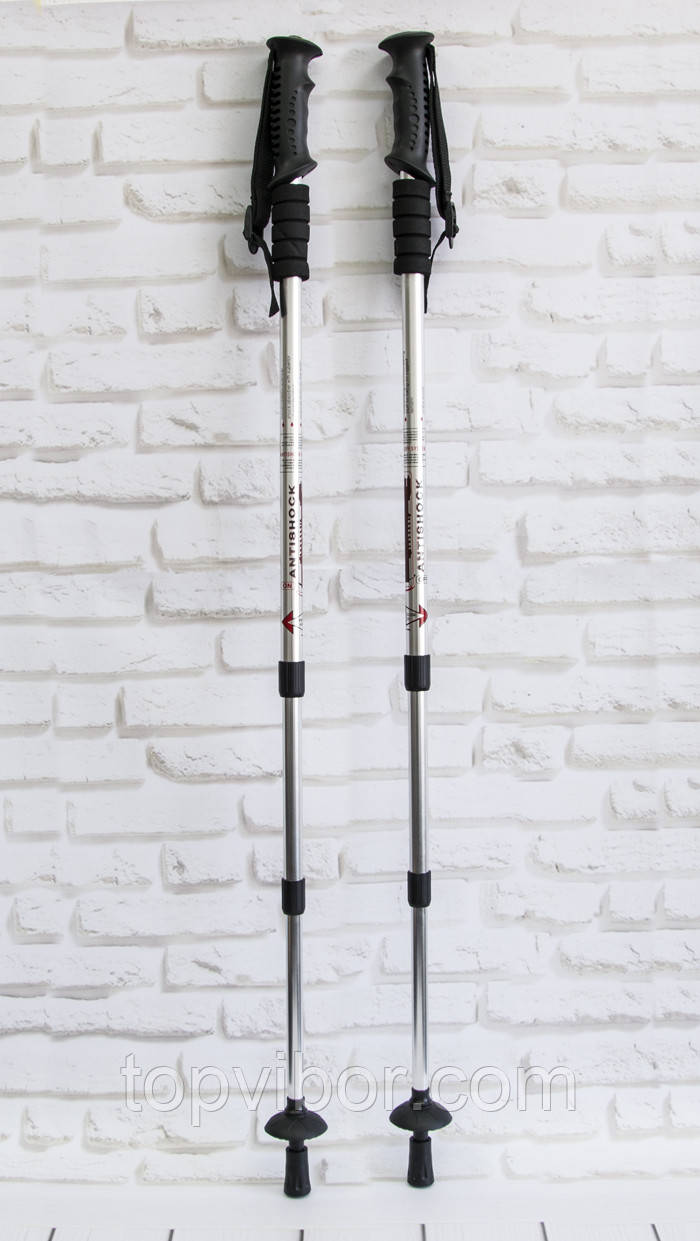 Трекінг палиці для спортивної шведської ходьби телескопічні (Тип 2 Silver) трекінгові палки