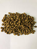 Сухий Собачий корм ТМ Дружок для цуценят всіх порід (10 кг), фото 2