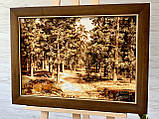 Картина пейзаж з бурштину "Сосновий ліс", фото 3