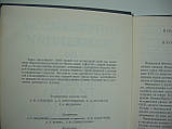 Експедиції з вивчення Північної частини Тихого океану в першій половині XVIII ст. (б/у)., фото 7