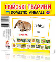 Картки Домана (міні) Домашні тварини (Ранок), англо-українські